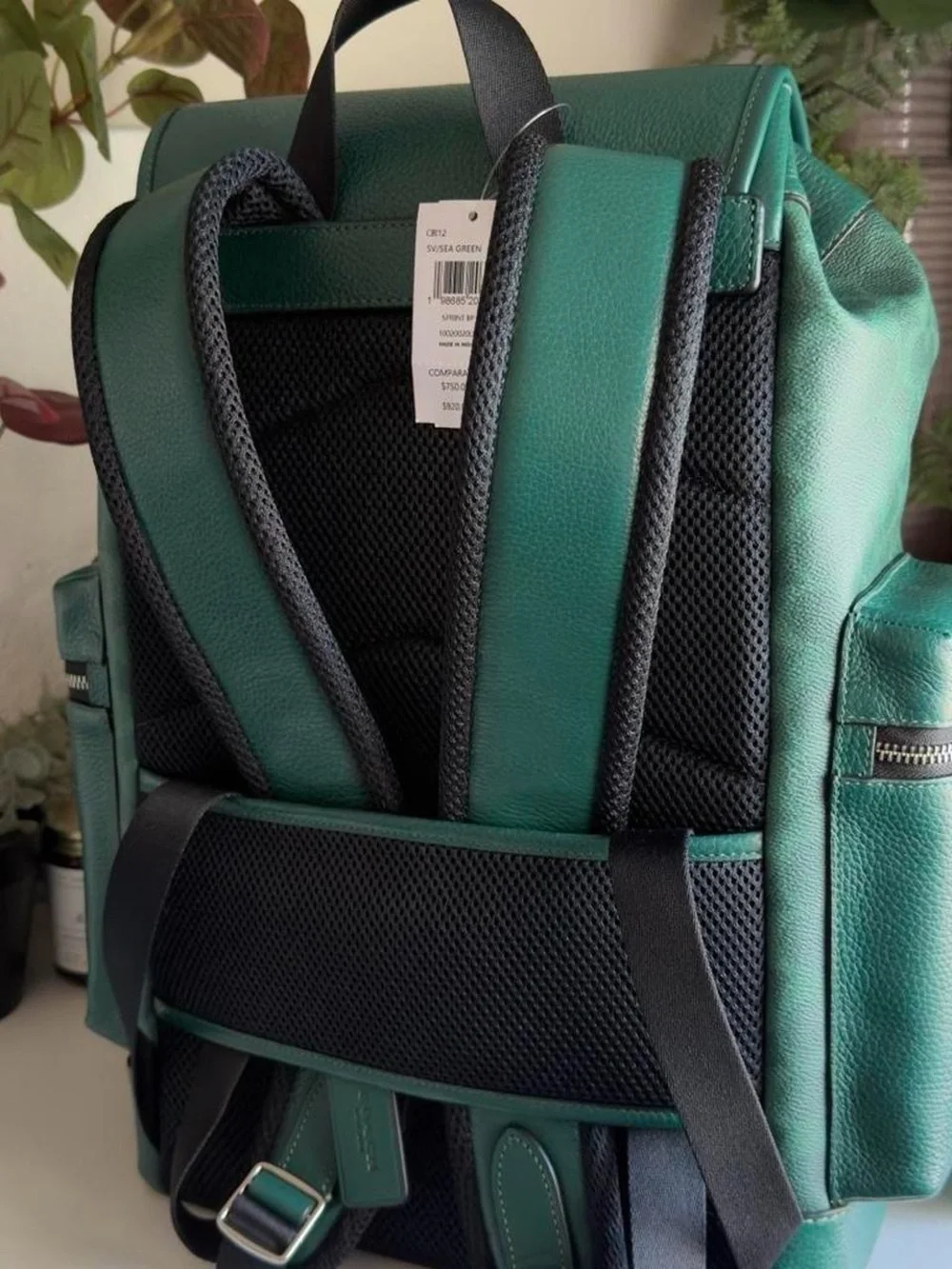 Coach Green Signature Canvas & Leather Backpack
